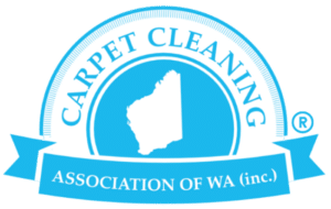 Carpet Cleaning Website Logo