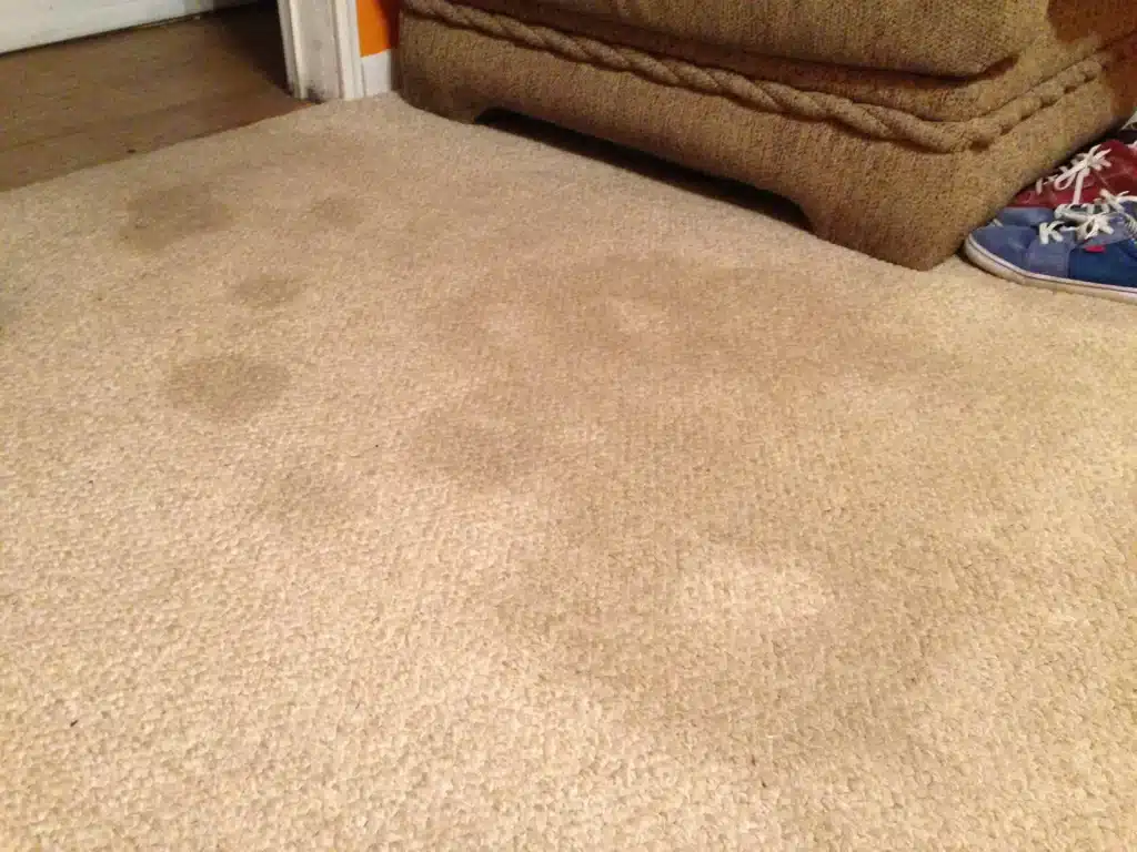 Carpet Stain Removal Mandurah