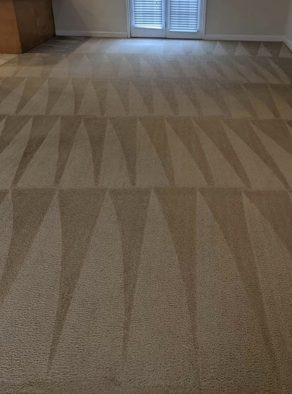 Mandurah Carpet Cleaning Our Journey to Cleanliness