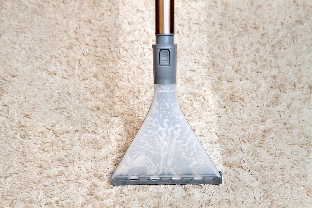 Next Steps GM Carpet Cleaning