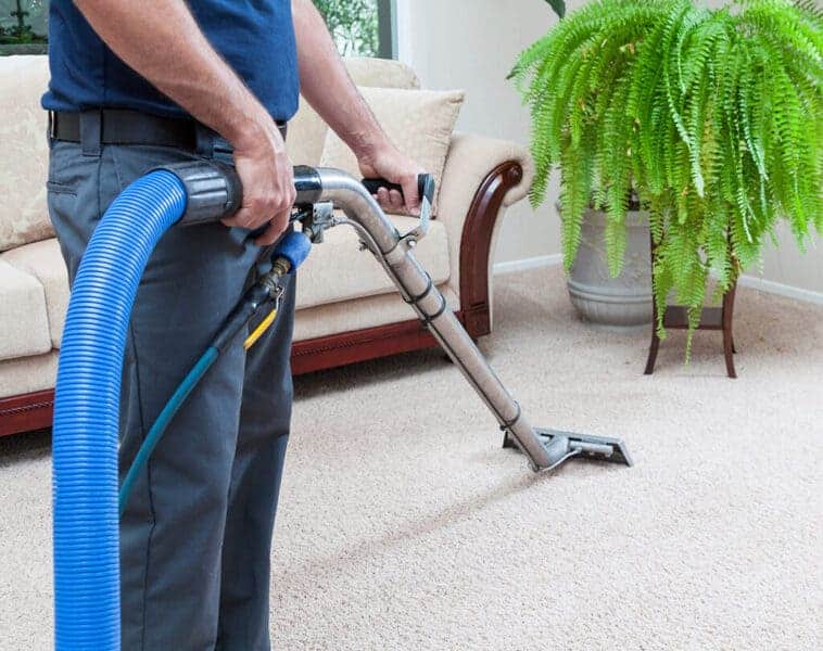 Professional-Carpet-Cleaning-Mandurah-Your-Carpets-Best-Friend