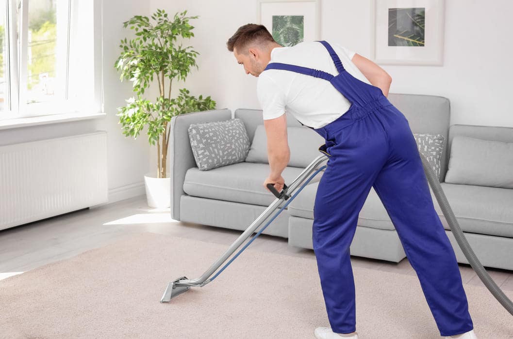 Professional Services GM Carpet Cleaning