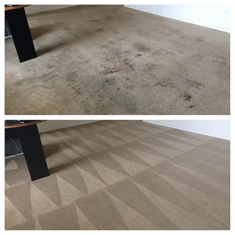Rug Stain Removal Mandurah Our Stain Removal Process
